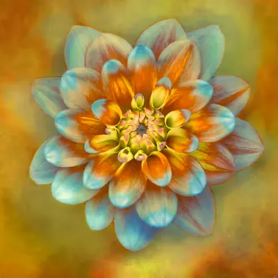 GALAXIA