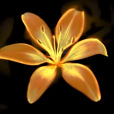 LUX