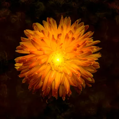 SOLARIS