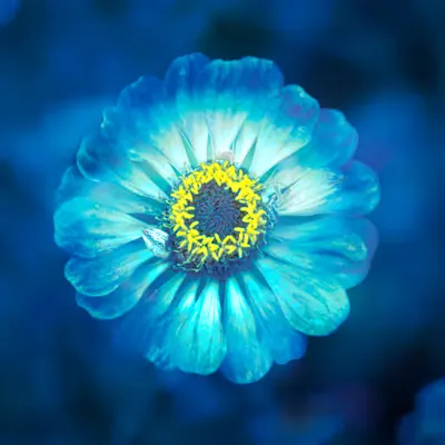 AQUA