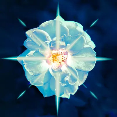 POLARIS