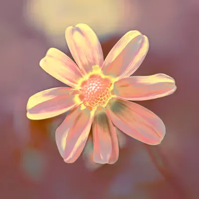 PETALINE