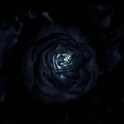 OBSCURA