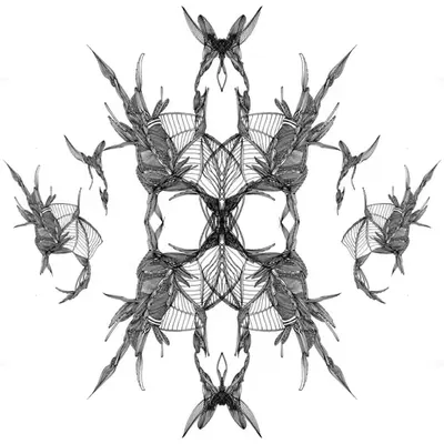 ABS　＃055