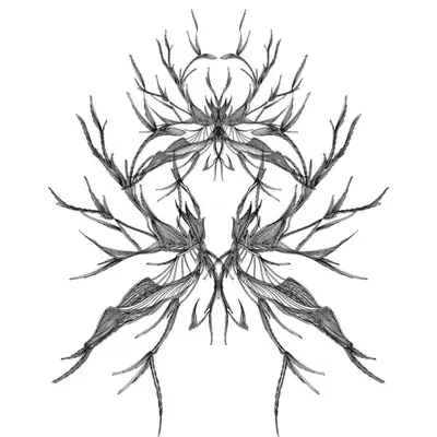 ABS　＃058