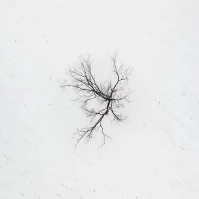 Frozen Dreams #8