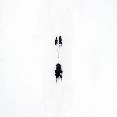 Frozen Dreams #16