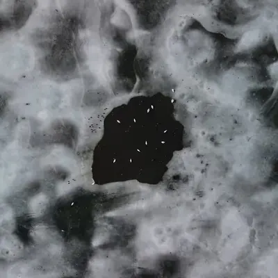 Frozen Dreams #17