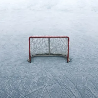 Empty Net