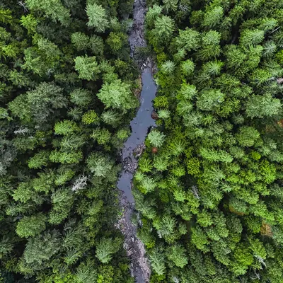 Fresh water