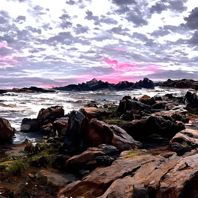 Rocky Shores