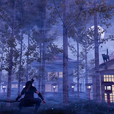Ninja Assassin