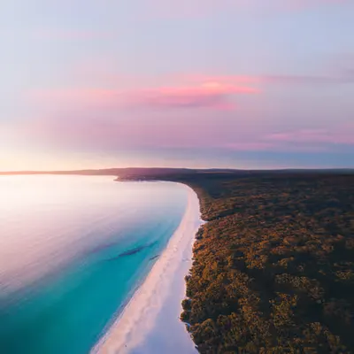 The Bay of Plenty #1/5
