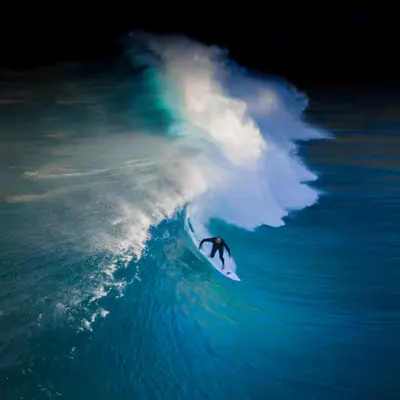 Night Rider