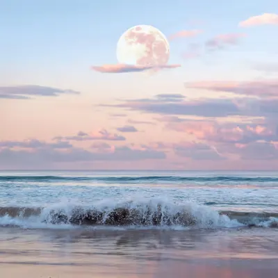 Strawberry Moon