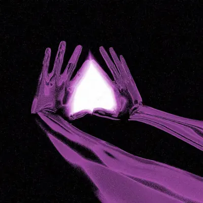 New Dimension (Orchid)