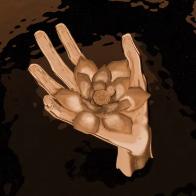 The Lotus (Sun)