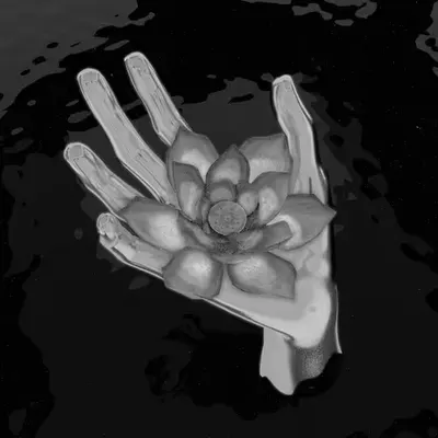 The Lotus (Noir)