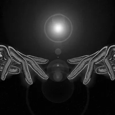 The Sunseeker (Noir)