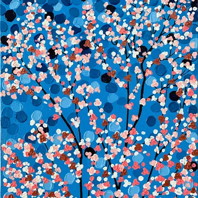 Cherry Blosom