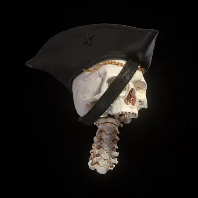 SKULL #011