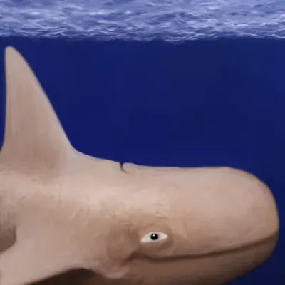 The NFT Whale
