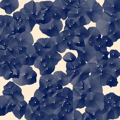 Sketch 311 - blue