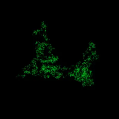 Hyades #19