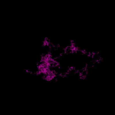 Hyades #33