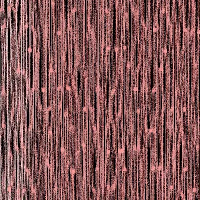Distorted Lines Study #6