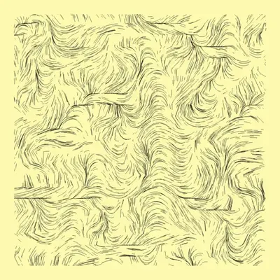 Fields #5