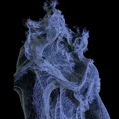 009