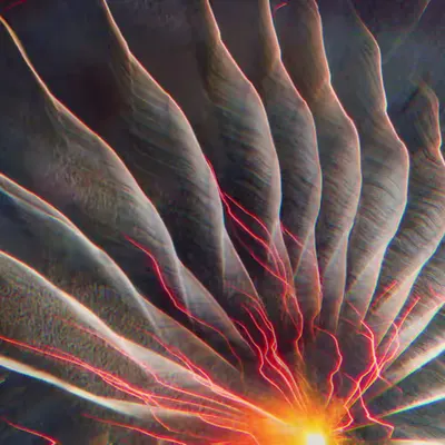 Force of nature - 10/10 Edition (Audiovisual experience) 