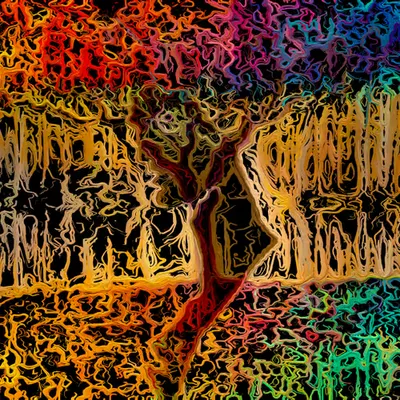 P a r e i d o l i a  7 (Single Edition)