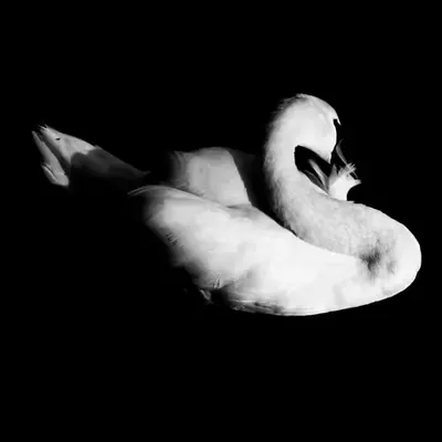 London in Monochrome 14