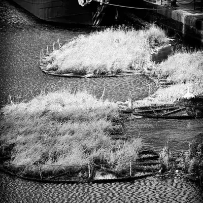 London in Monochrome 5