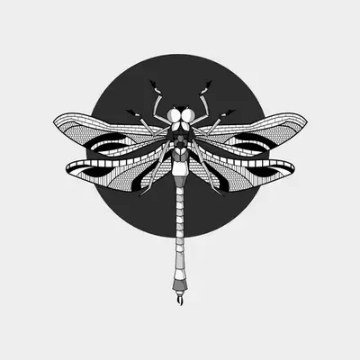Anisoptera Tetradic: Original