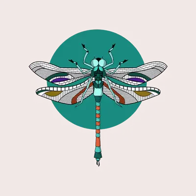 Anisoptera Tetradic: Celadon Green