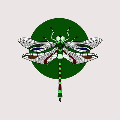 Anisoptera Tetradic: Emerald Green
