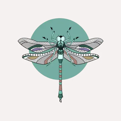 Anisoptera Tetradic: Green Sheen
