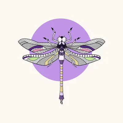 Anisoptera Tetradic: Bright Lavender 