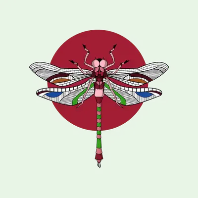 Anisoptera Tetradic: Radical Red