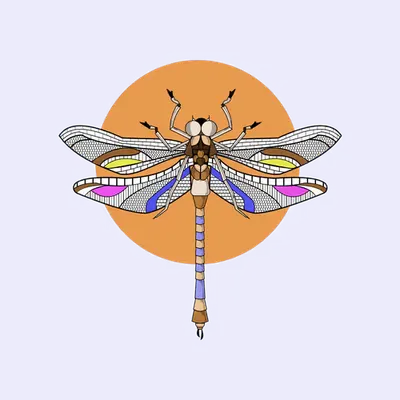 Anisoptera Tetradic: Saffron Thread