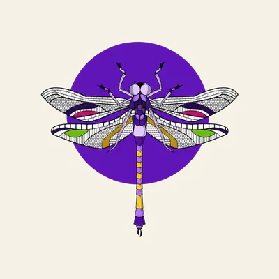 Anisoptera Tetradic: Violet
