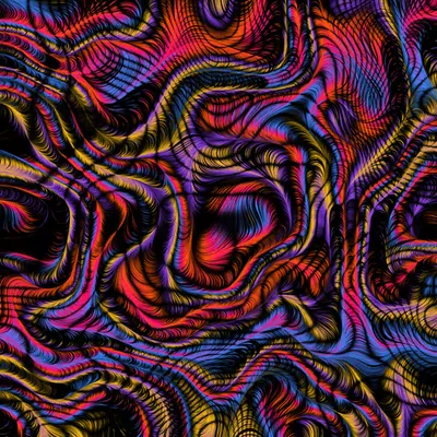 Veritable #3