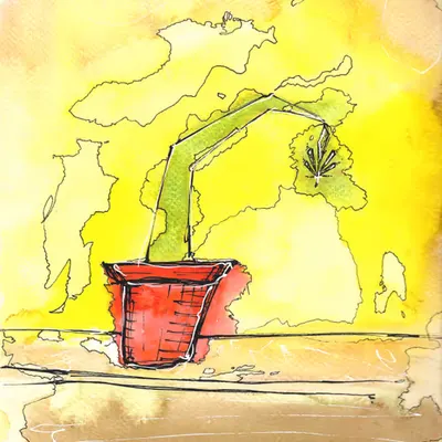 Houseplant