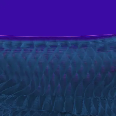 Form and Decay V3 11