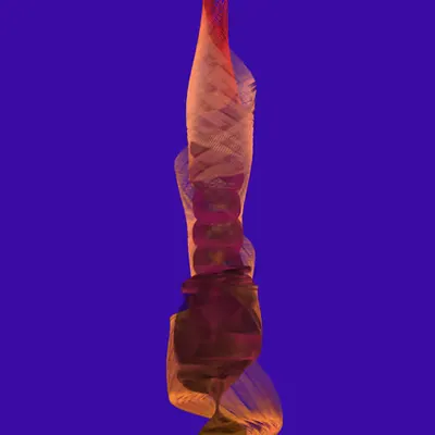 Form and Decay V4 - 2