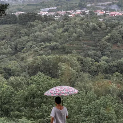 El hombre del bosque