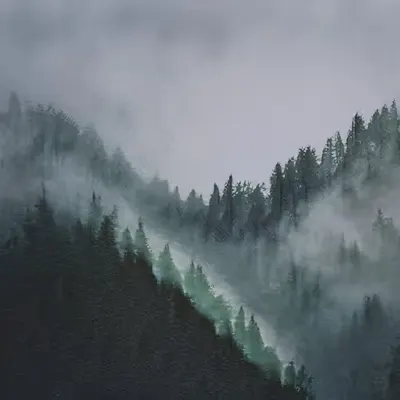 Vakarinė [2021] :: CWS x Ivona Tau